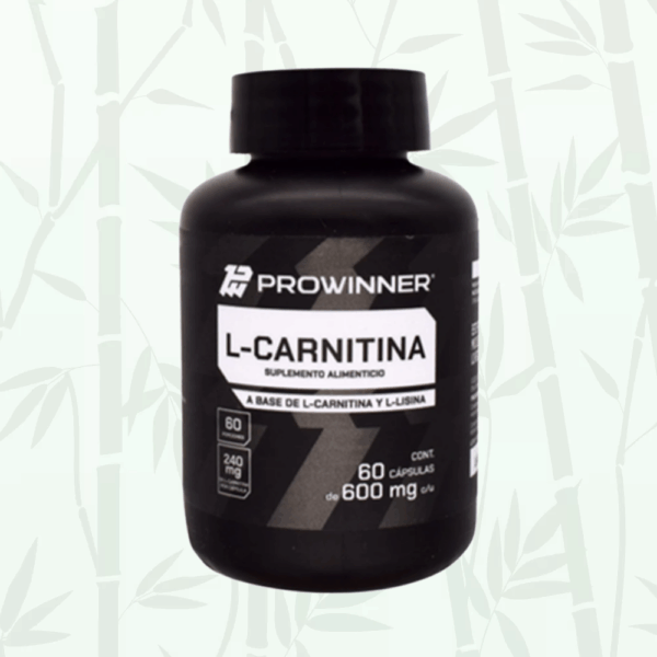 L- Carnitina